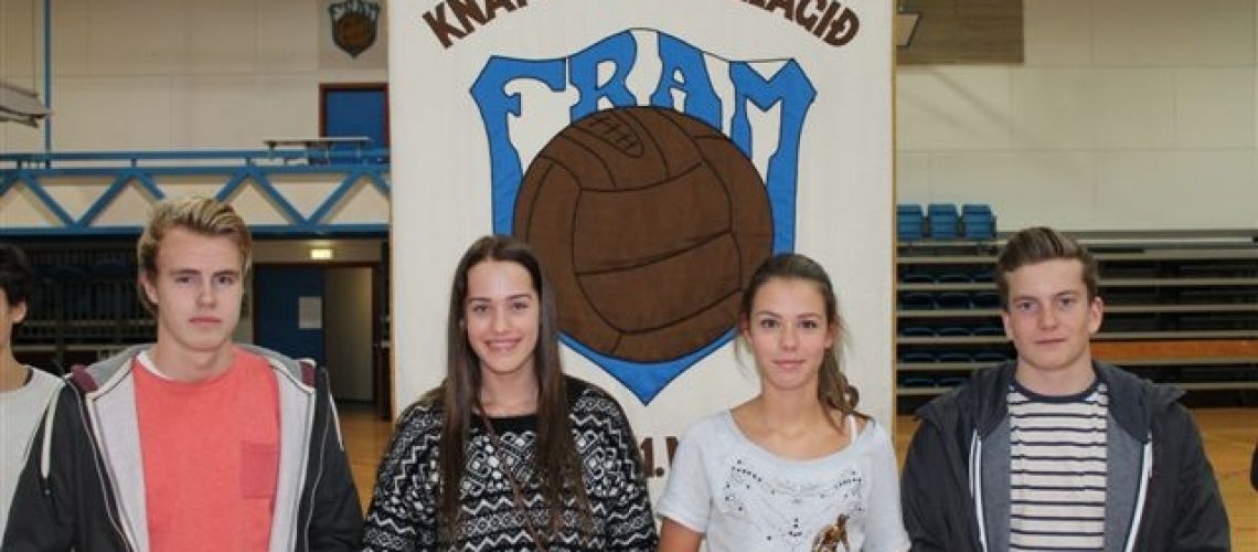 3  fl ka  kv vefur