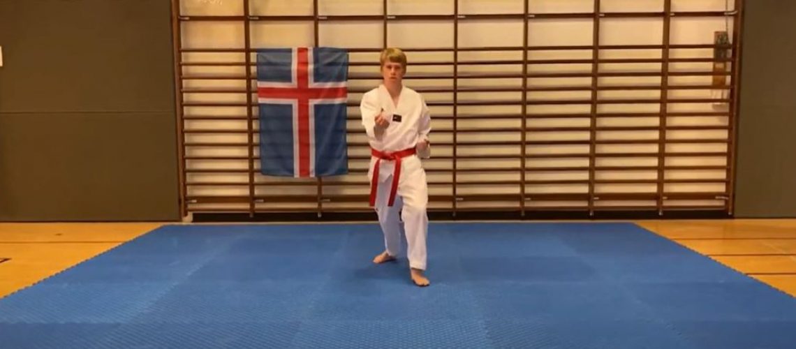 Bjarki Kjartansson mót 2020 vefur