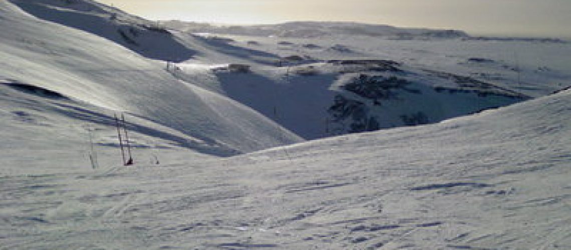 Eldbogargil