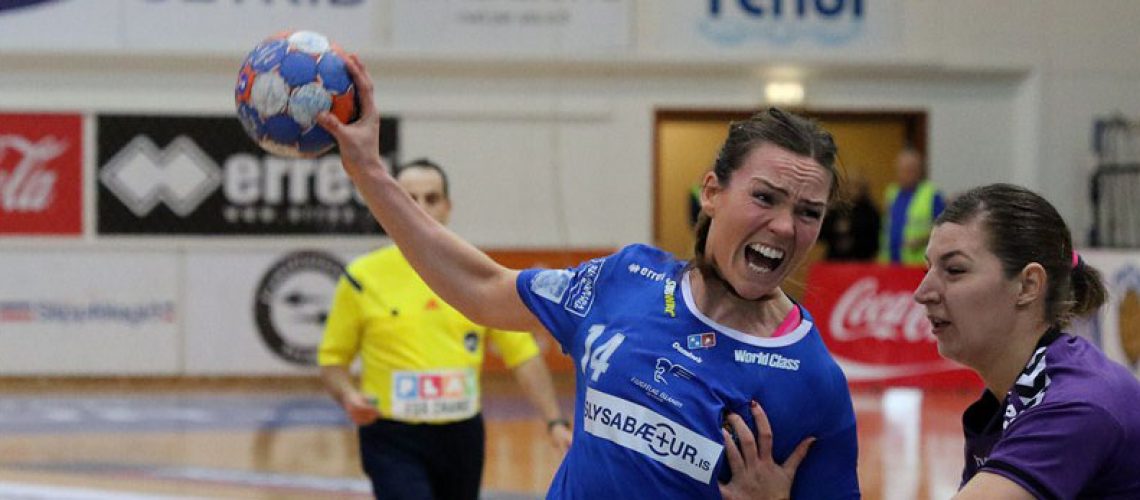 Sigurbjörg gegn Roman vefur