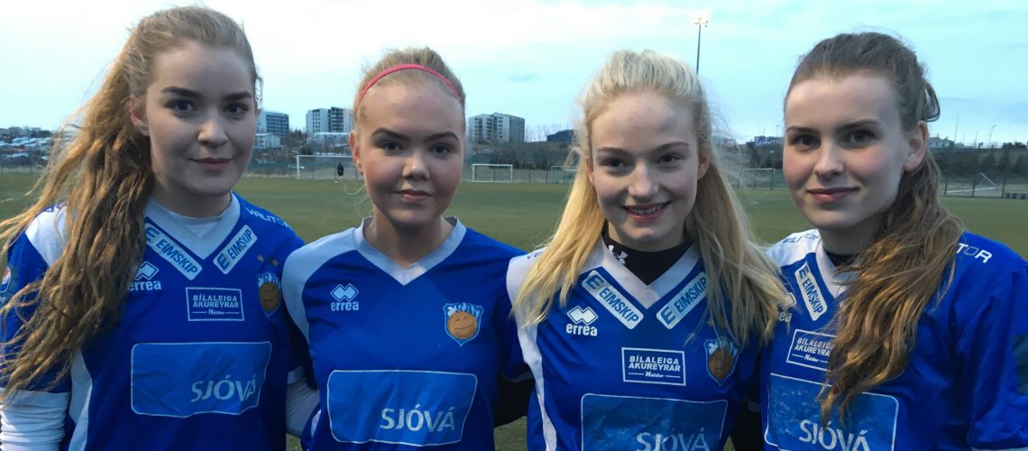 Skagastelpur II vefur