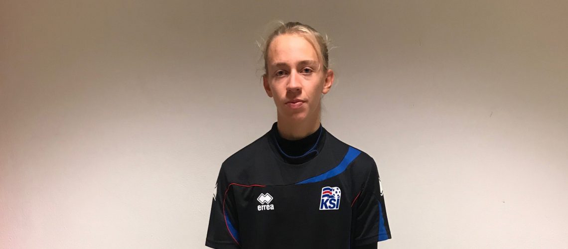 Torfi Geir vefur