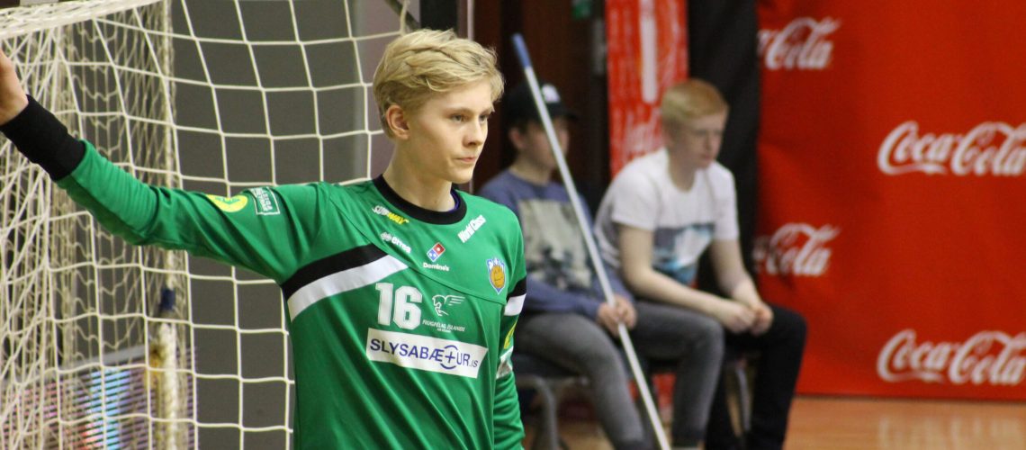 viktor vefur